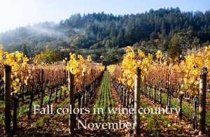 november wine country