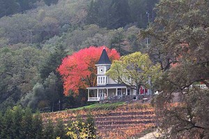 St. Clement winery