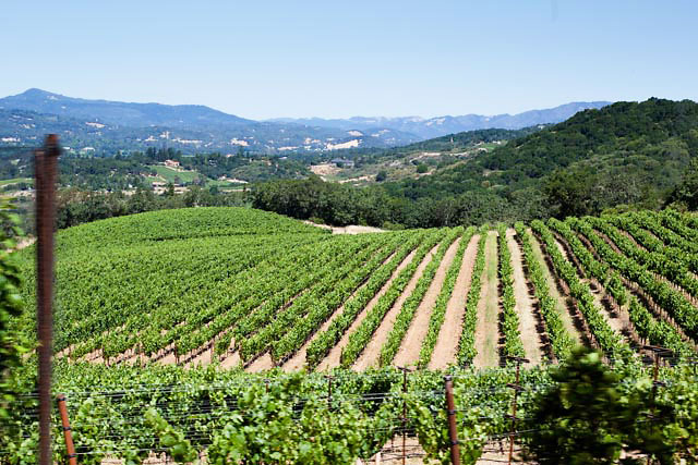 hanzell vineyards