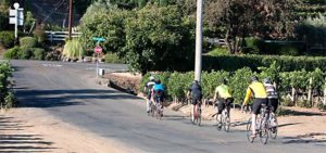 Riding bikes along Lambert Bridge Road in the Dry Creek Valley