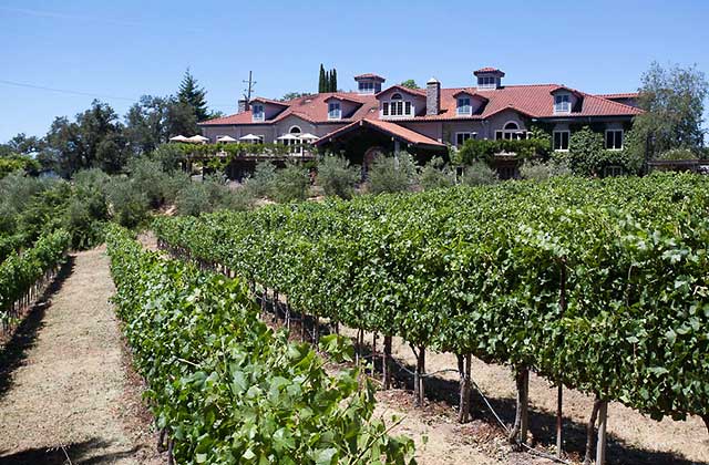 byington vineyards on the Santa Cruz wine trail
