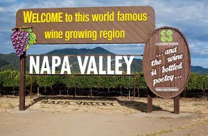 Napa Valley harvest
