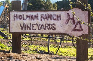 holman ranch vineyards