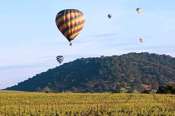 hot air balloons take off in the napa valley