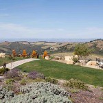 Daou winery and vineyards