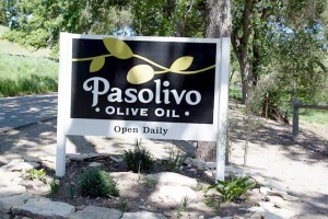 Pasolivo oliveoil