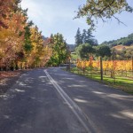 finding fall colors wine country