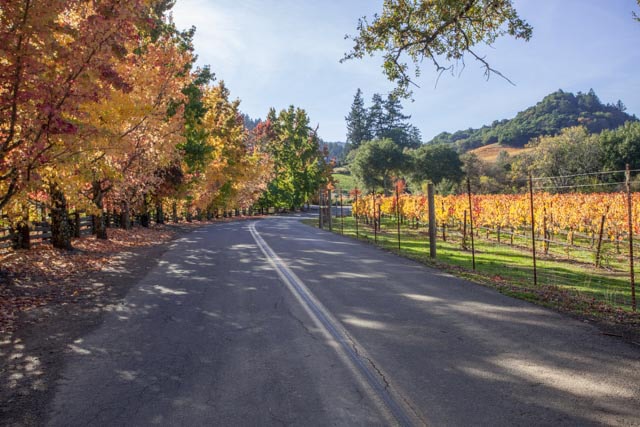 finding fall colors wine country west dry creek road