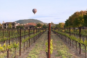 Napa Valley ballooning and other fun stuff