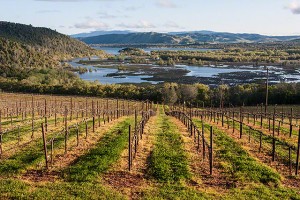 Lake County wine route