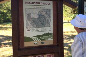 Healdsburg Ridge Open Space - moderate hike