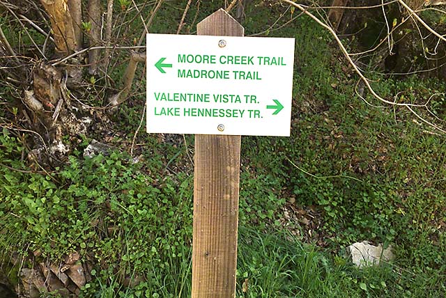Moore Creek hikes napa valley