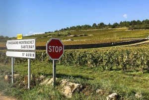 Burgundy wine region
