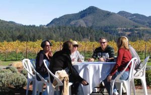 best picnic wineries Sonoma Valley