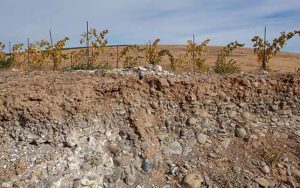soil in Yakima valley