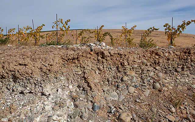 soil in Yakima valley wine country
