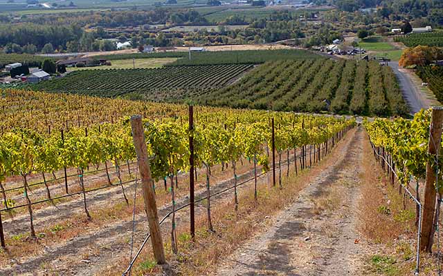 Yakima vineyards in Yakima Valley wine country