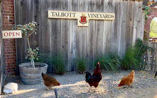 Talbott vineyards tasting room