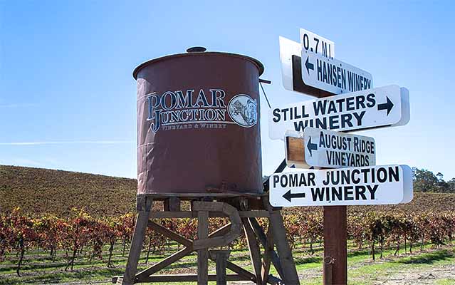 Where to find the best backroads in wine country