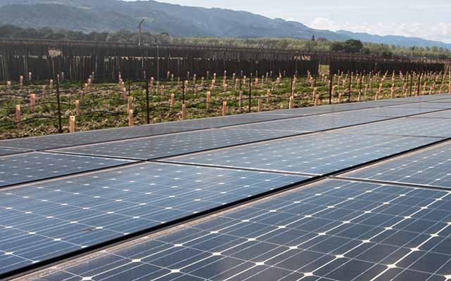 solar powered wineries