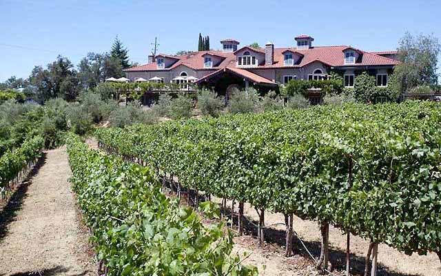 best Santa Cruz mountain wineries