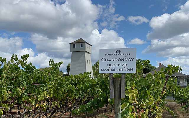Handley winery, unique and fun wine tasting, family owned