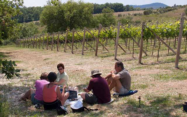 How to place and plan for a wine country picnic
